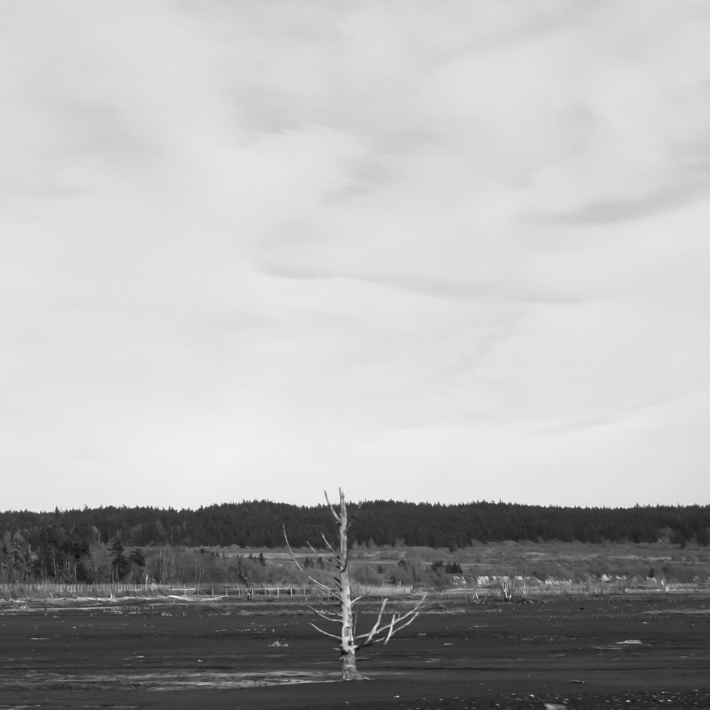 Tidal Flats