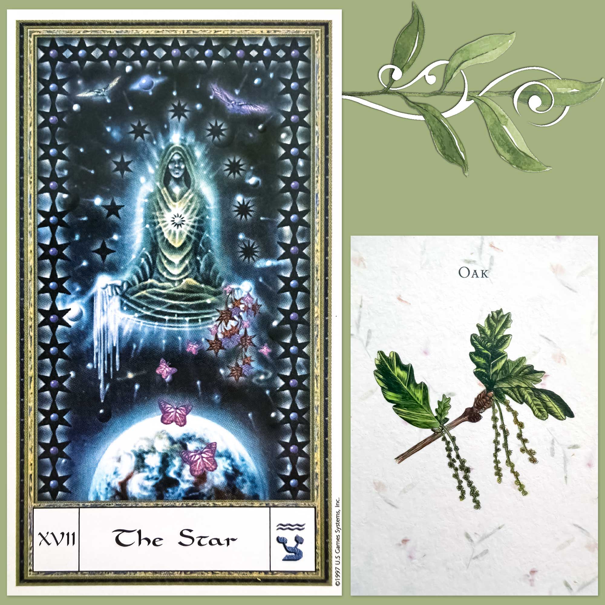 Gendron Tarot's Star card and the Oak card from the Listening to Flowers deck