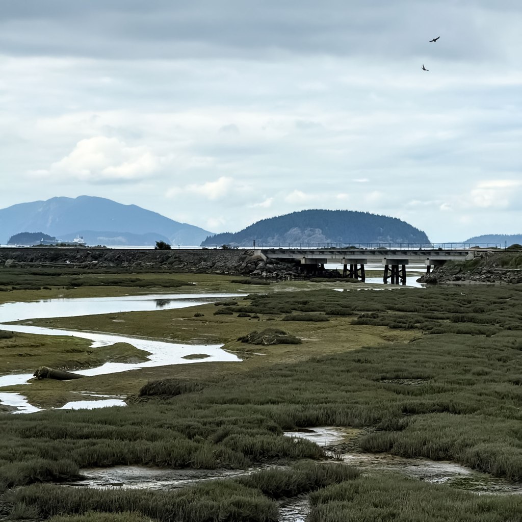 Aberdeen Tidal Flats