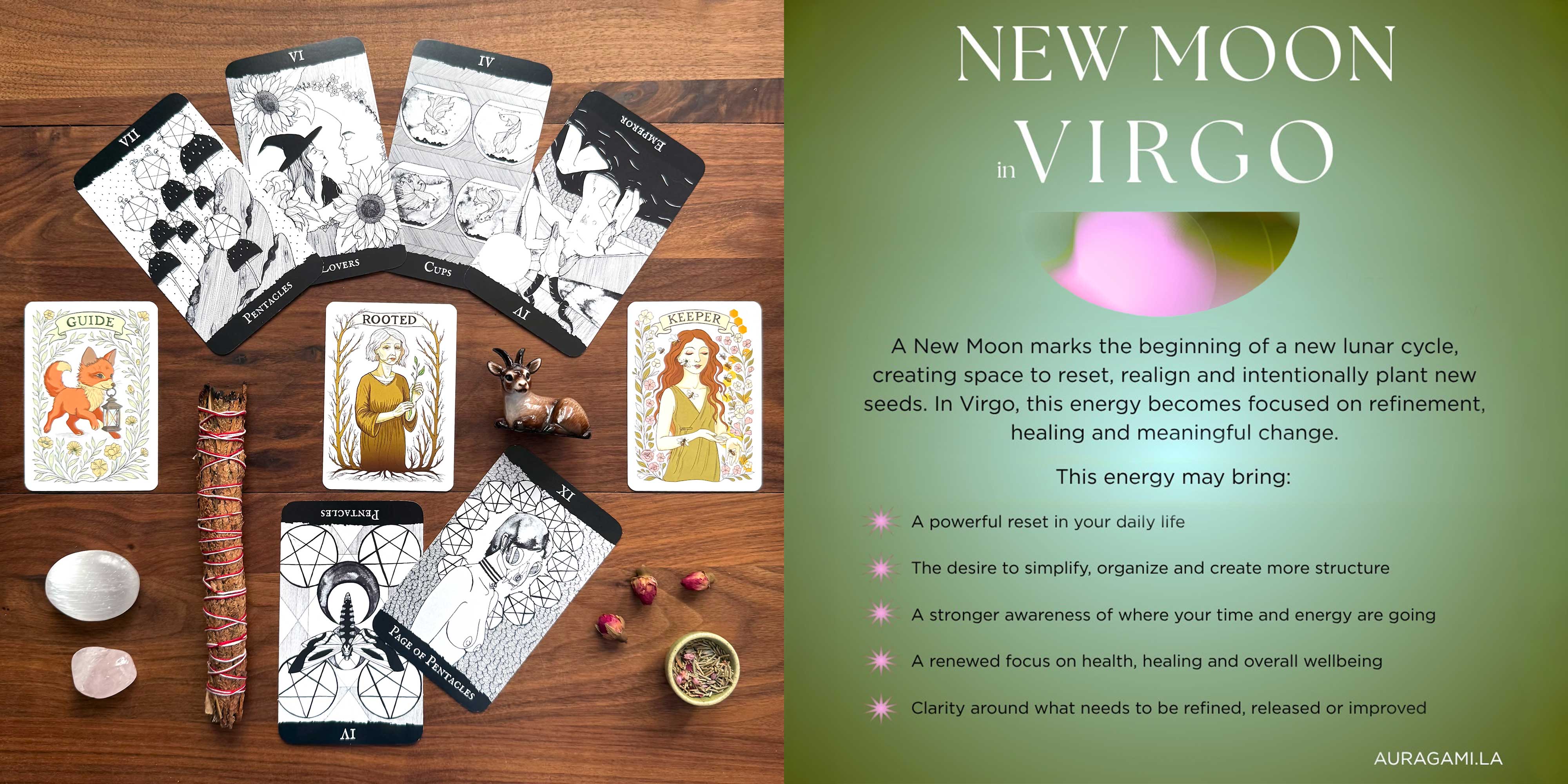 New Moon in Virgo Tarot Reading with The Garnet Witch's Tarot and Willowseeds for the Wild Soul Oracle