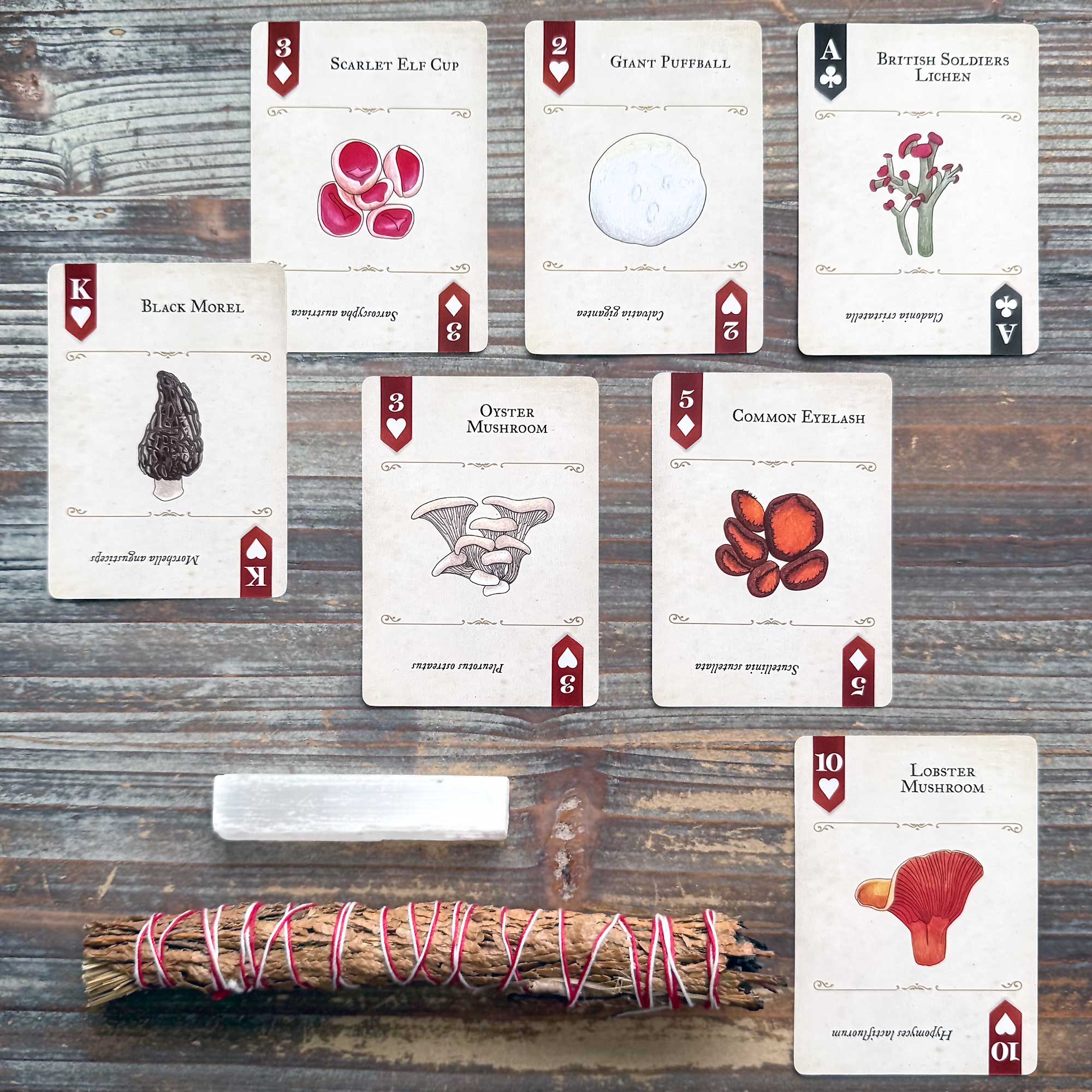 Cartomancy and Creative Writing with the Fungi, Mushrooms & Lichens Playing Cards
