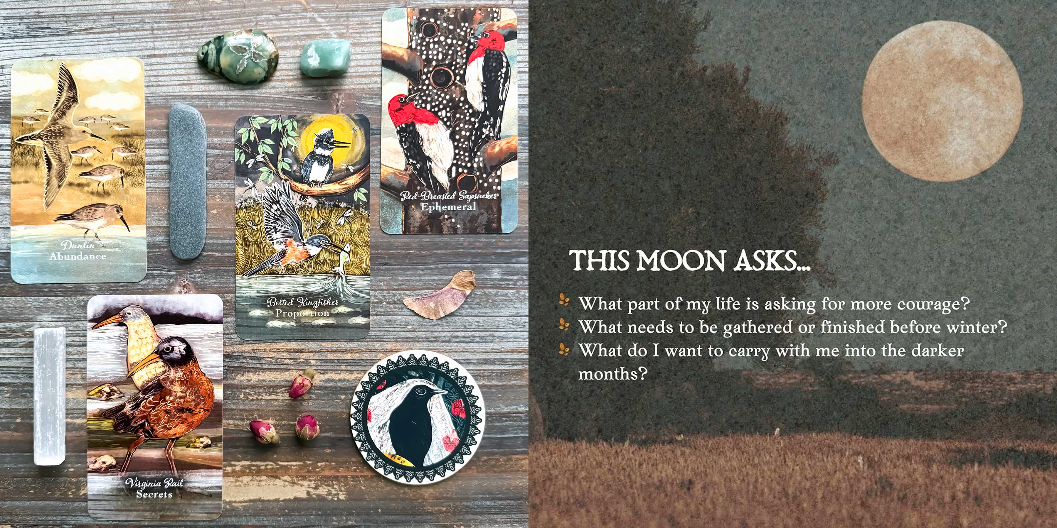 Full Moon in Aries Oracle Reading with The Birds of San Juan Island Oracle