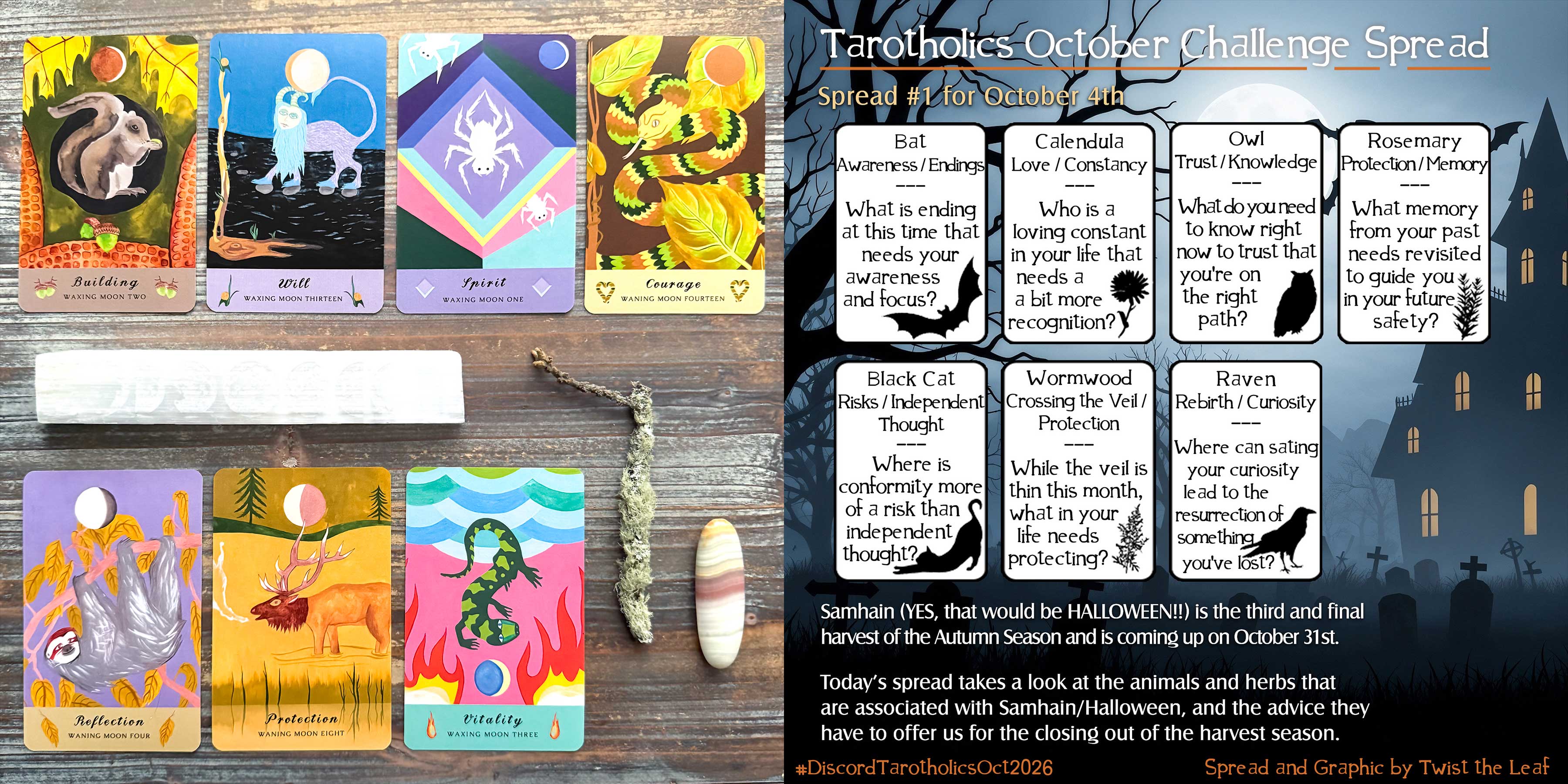 Tarot Reading with the Creatures of the Moon Oracle