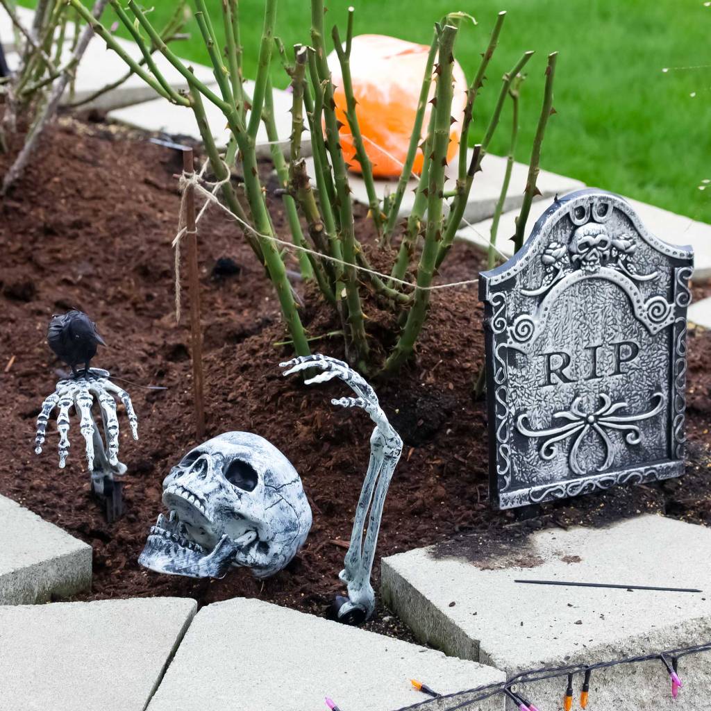 Halloween Decorations in the Rose Garden