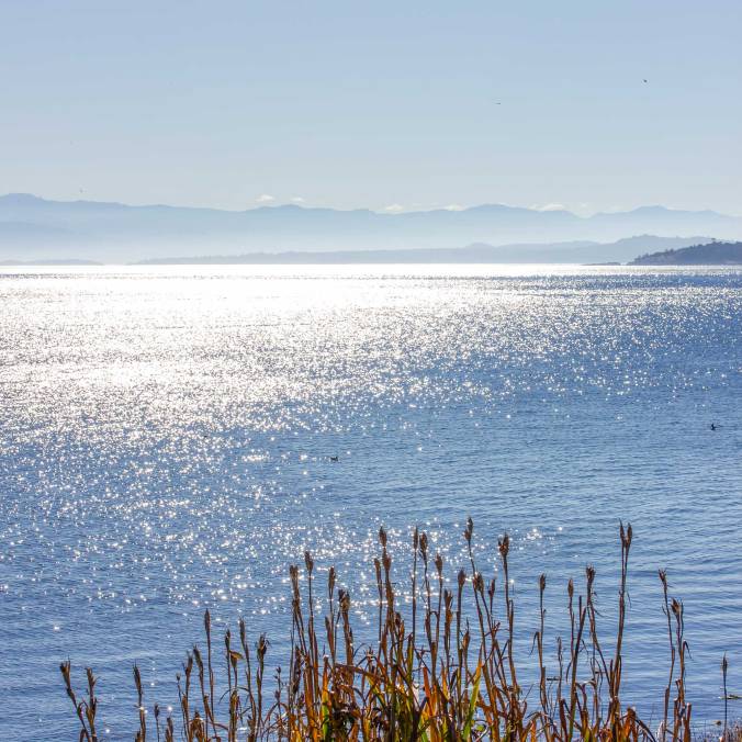 Haro Strait, British Columbia