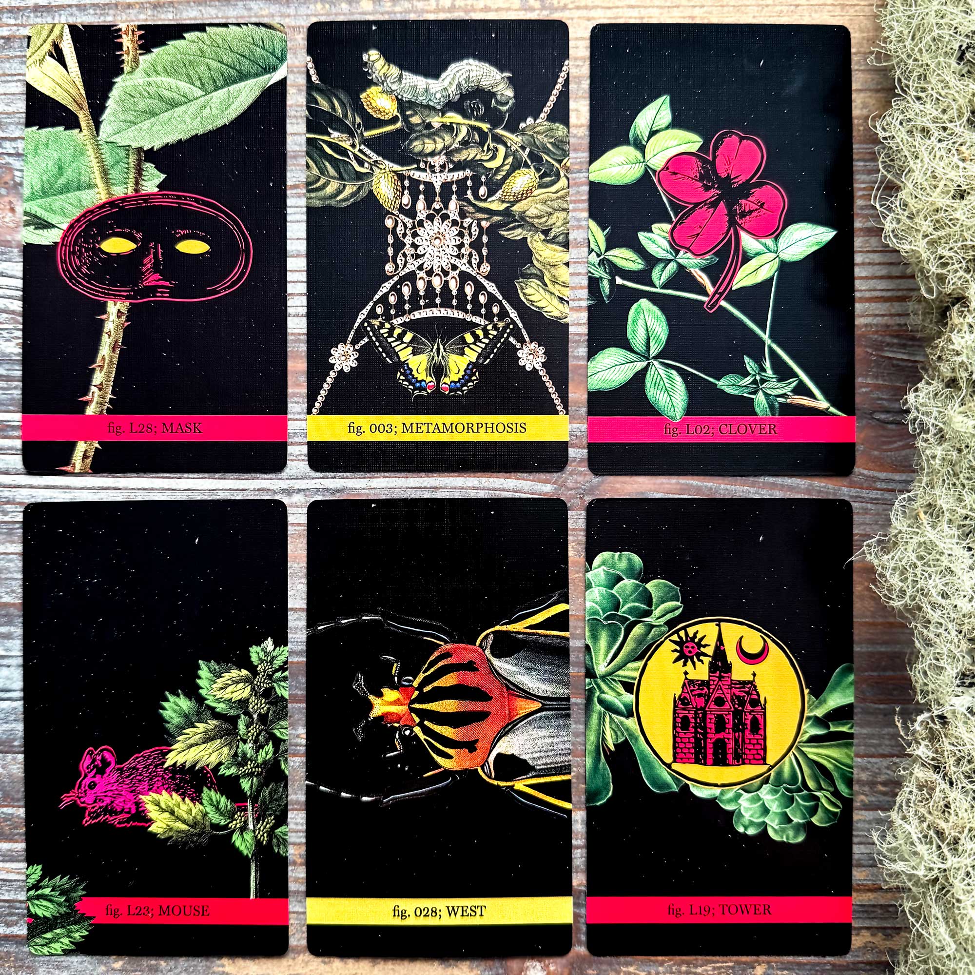 Oracle Reading with the Cosmic Butcher's Walk Through the Eternal Gardens Oracle & Lenormand