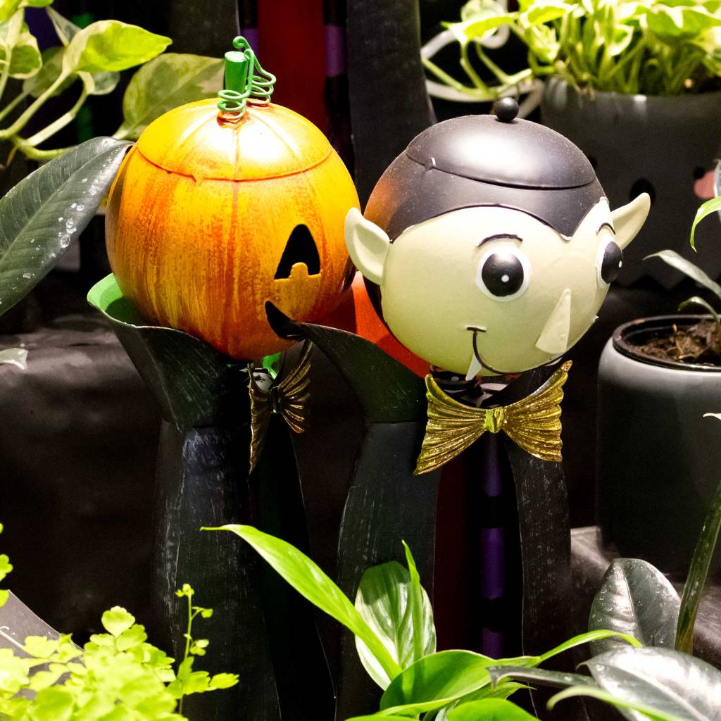 Halloween Decor