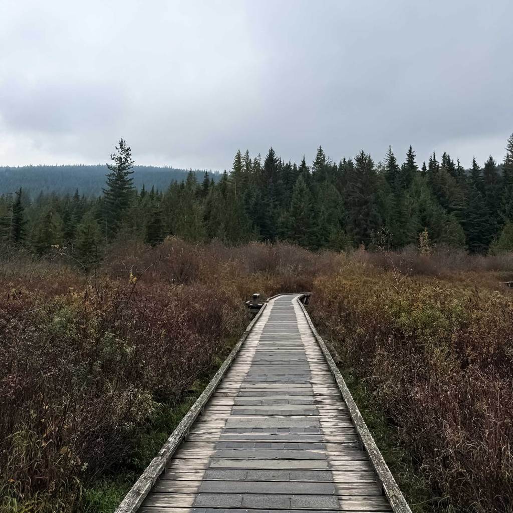 The Autumn Path