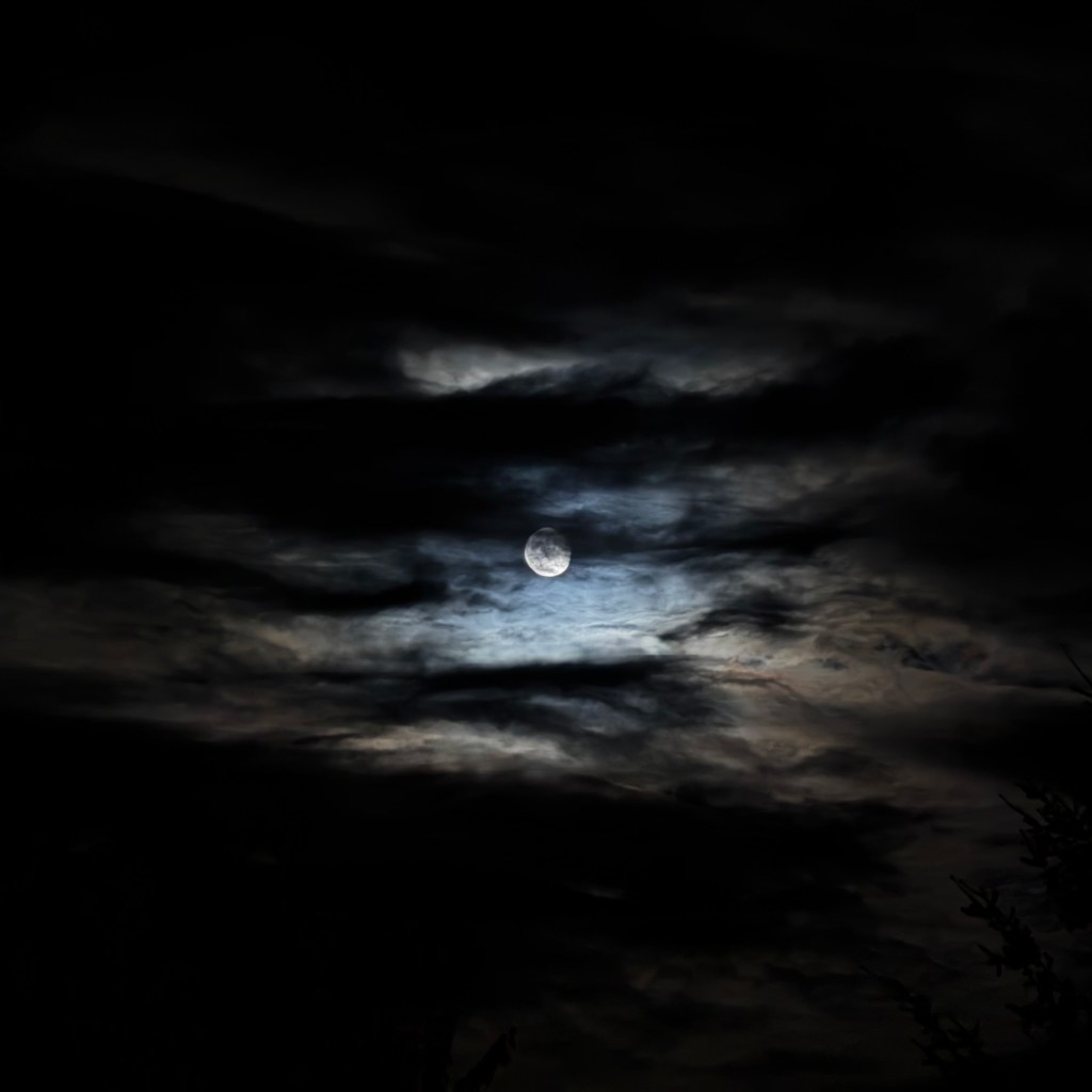 Hunter's Moon Almost Full